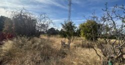 MONTAÑANA. CASA Y TERRENO EN VENTA