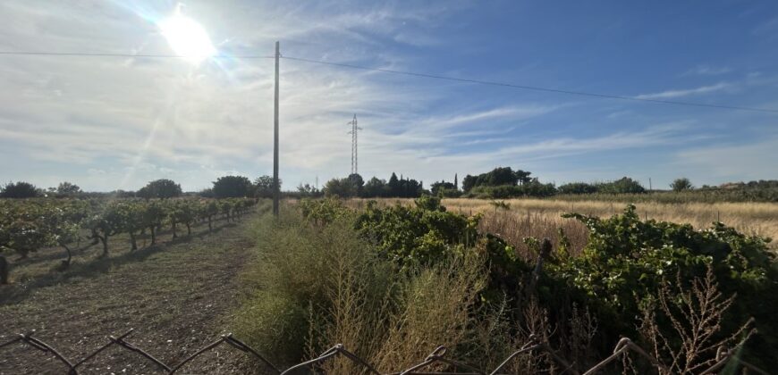 MONTAÑANA. CASA Y TERRENO EN VENTA
