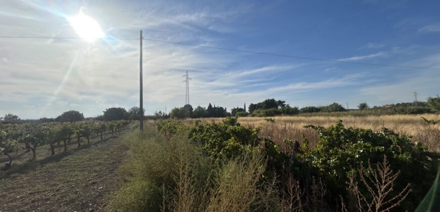 MONTAÑANA. CASA Y TERRENO EN VENTA