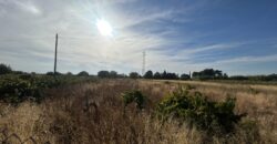MONTAÑANA. CASA Y TERRENO EN VENTA