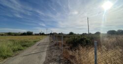 MONTAÑANA. CASA Y TERRENO EN VENTA