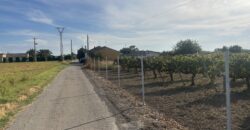 MONTAÑANA. CASA Y TERRENO EN VENTA