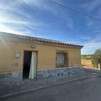 MONTAÑANA. CASA Y TERRENO EN VENTA